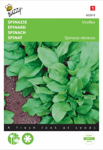 Spinach Winter Giants Viroflex (Spinacia oleracea) 1875 seeds BU